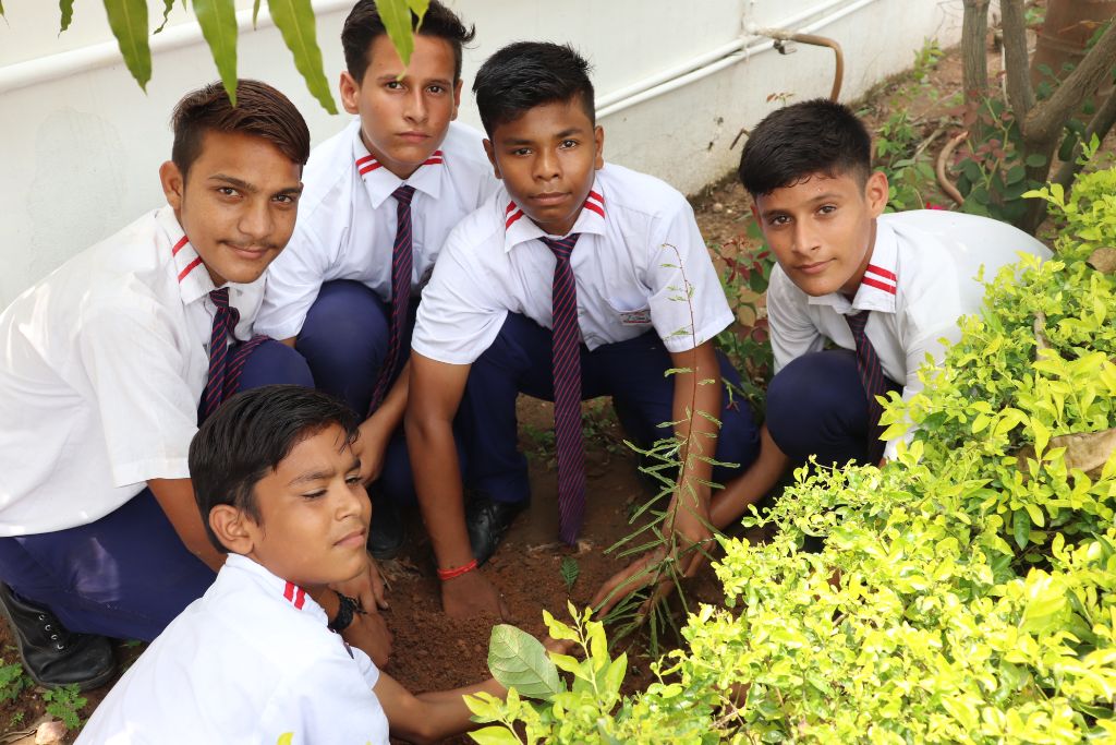 Van Mahotsav