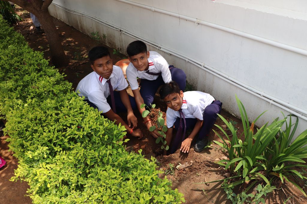 Van Mahotsav