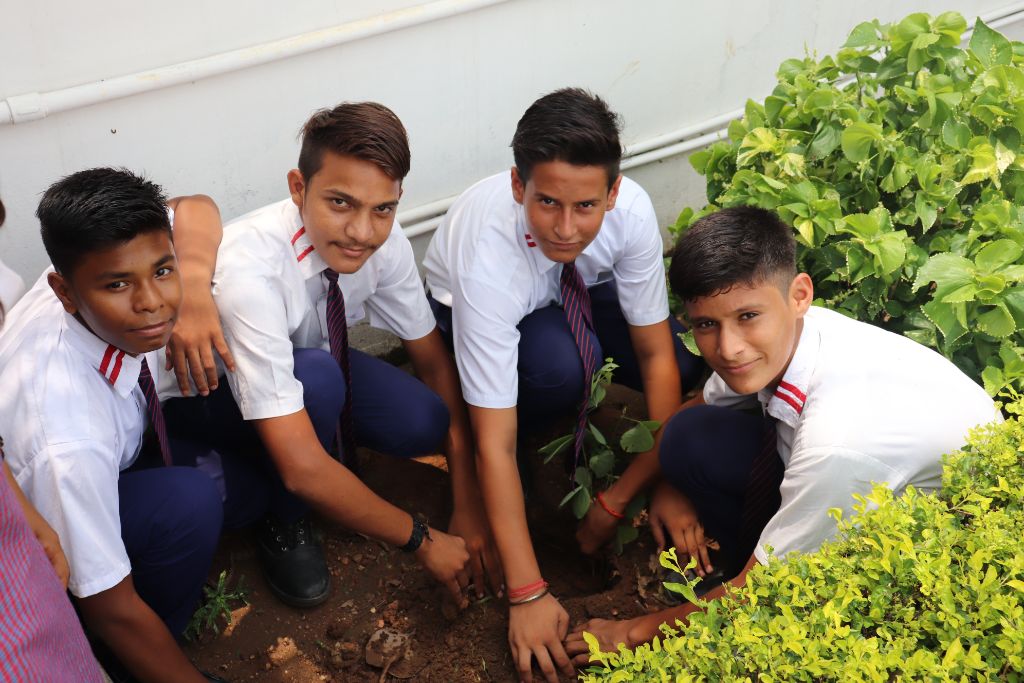 Van Mahotsav