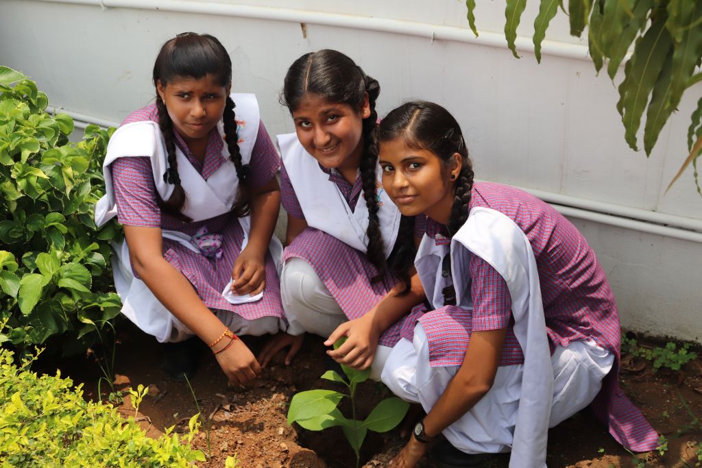 Van Mahotsav