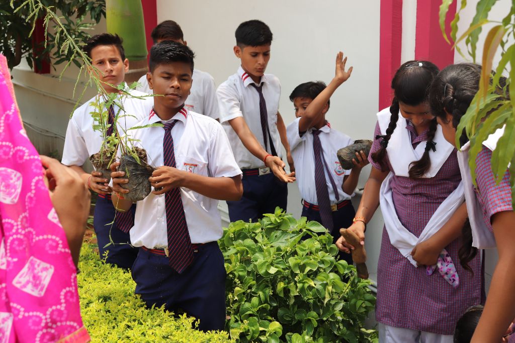 Van Mahotsav