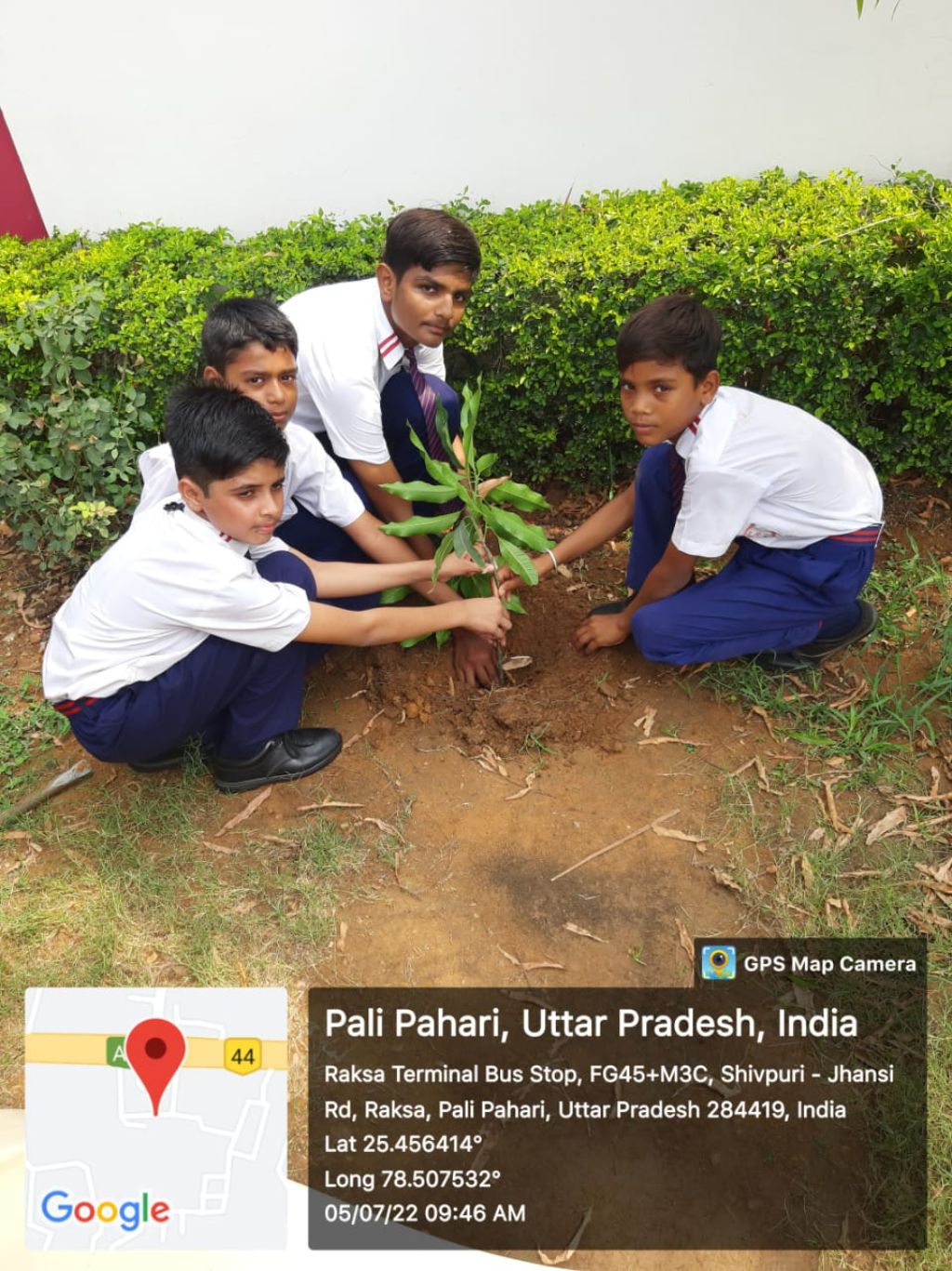 Van Mahotsav